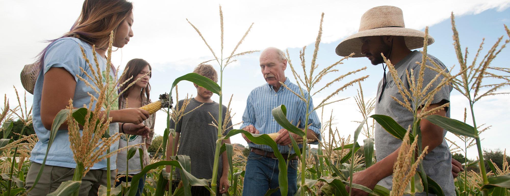 A professor discusses a corn crop with this students
