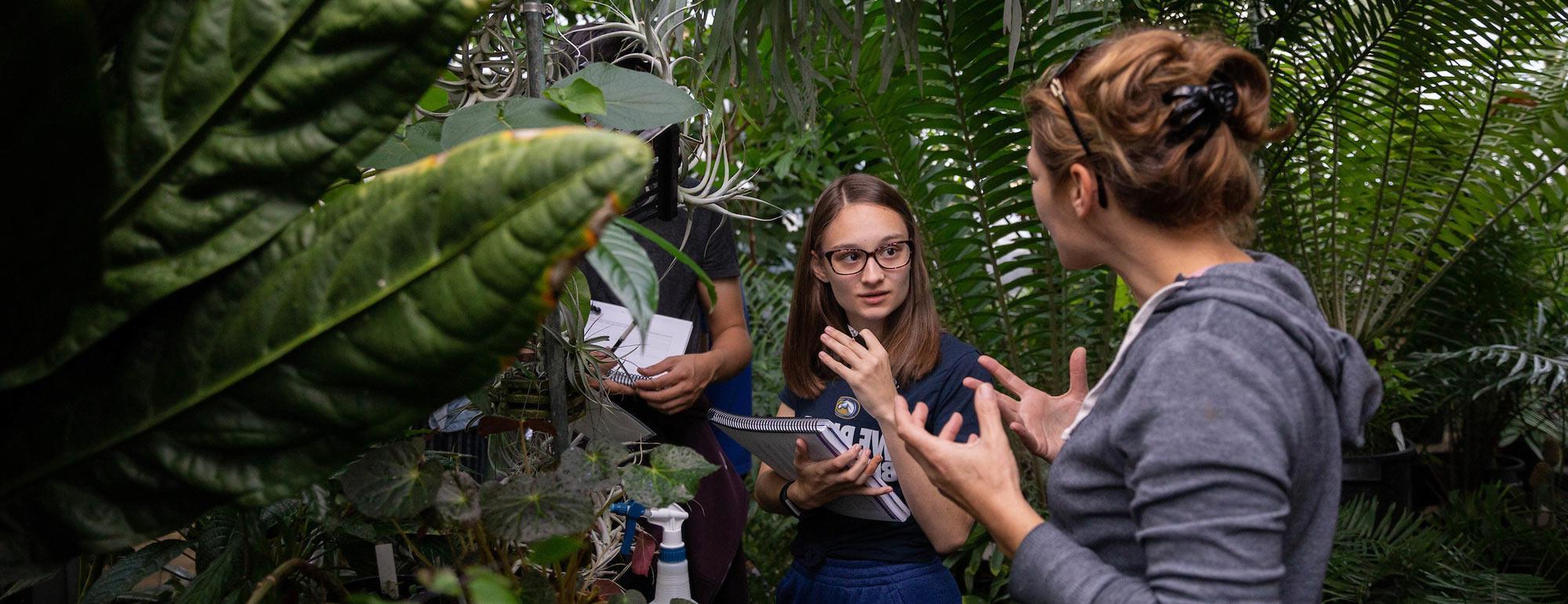 一名学生在amjs澳金沙门的一个温室里与她的教授讨论植物标本