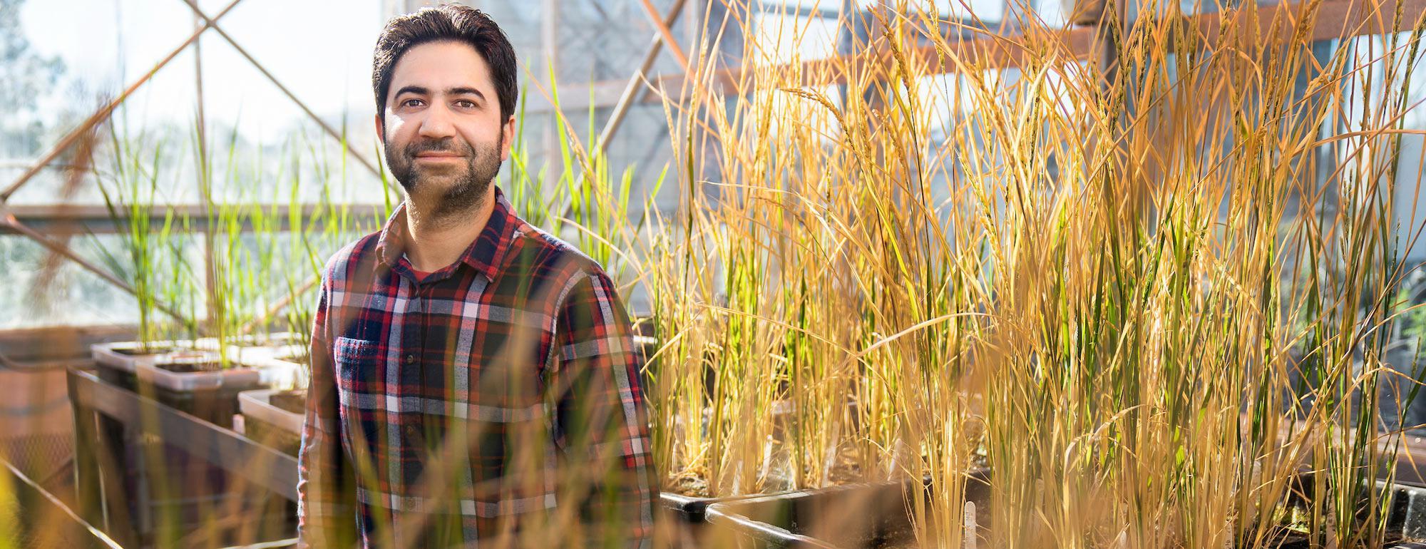 A male student poses with several grass samples 